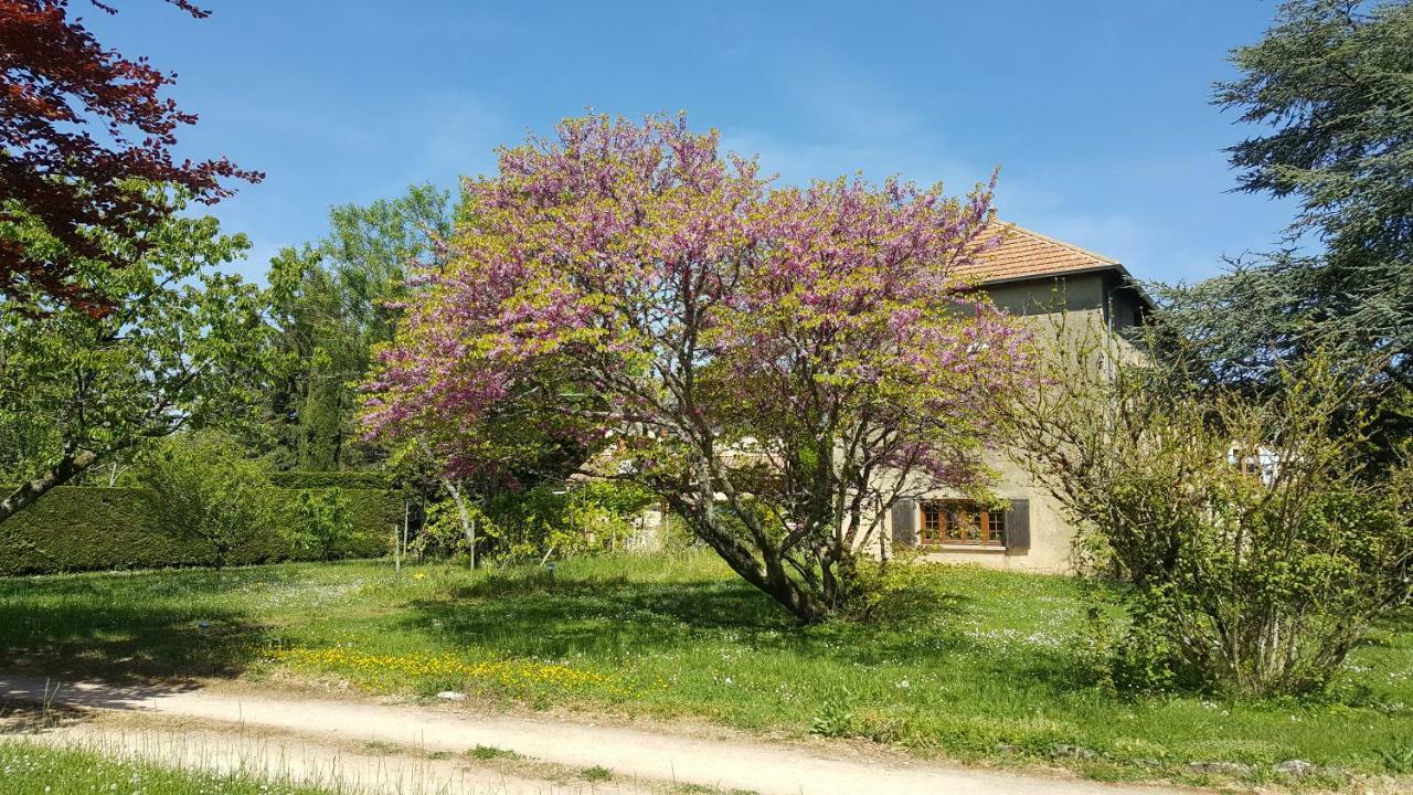 B&B Des Histoires D'Anges - Cote Jardin - Accueil Velo Tournus Exterior photo